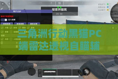 三角洲行动黑猫PC端雷达透视自瞄辅助