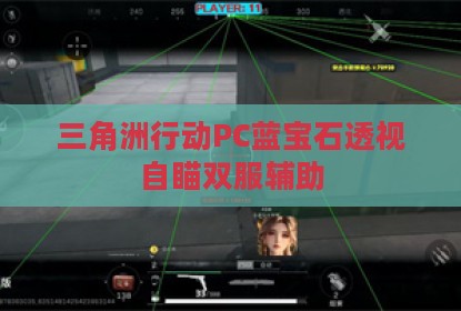 三角洲行动PC蓝宝石透视自瞄双服辅助